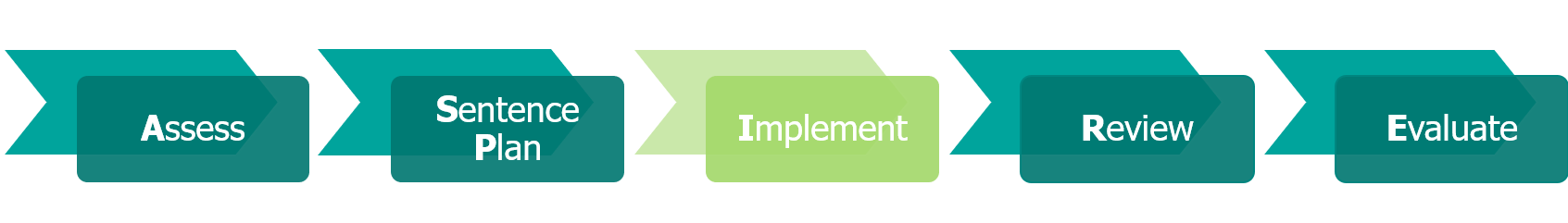 Implementation and delivery